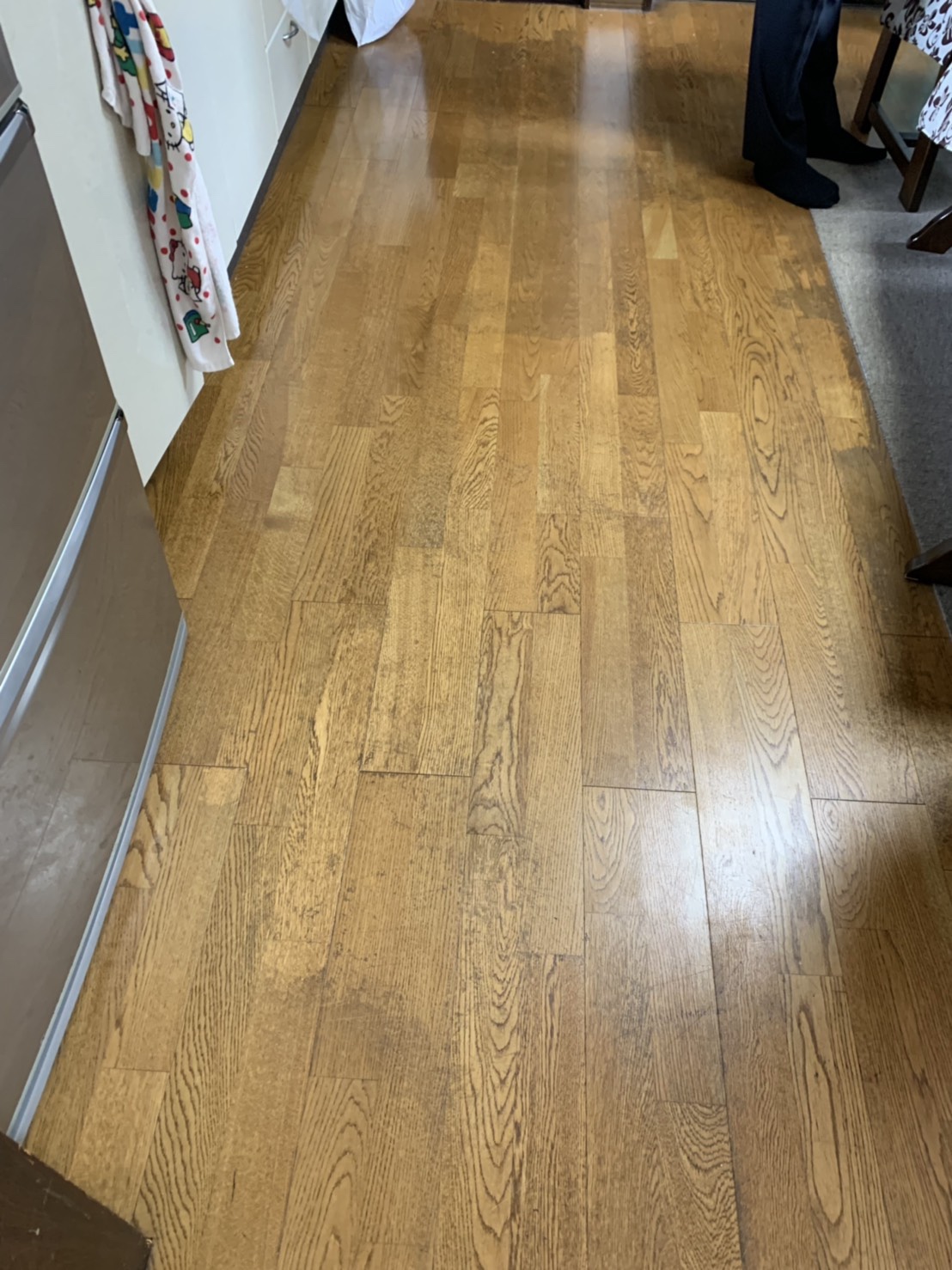 写真 2019-08-06 8 53 38