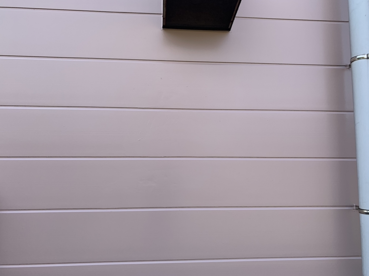 写真 2019-05-20 15 36 40
