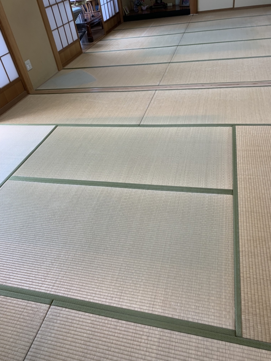 写真 2019-05-21 8 45 43