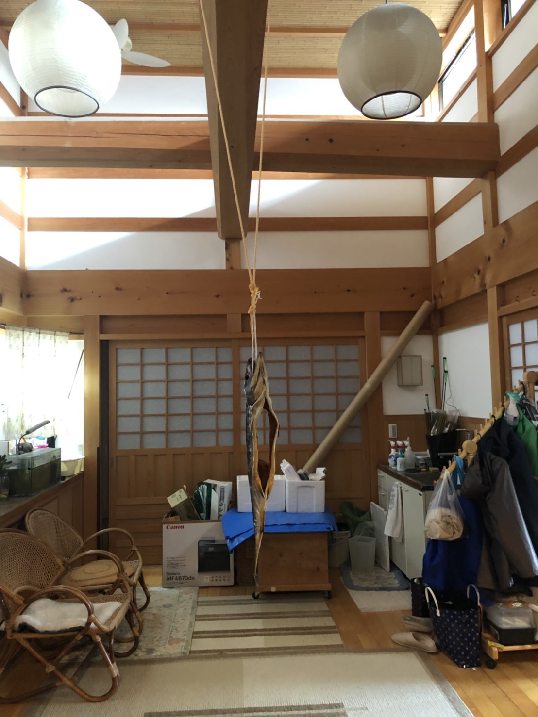 写真 2019-05-30 16 02 53