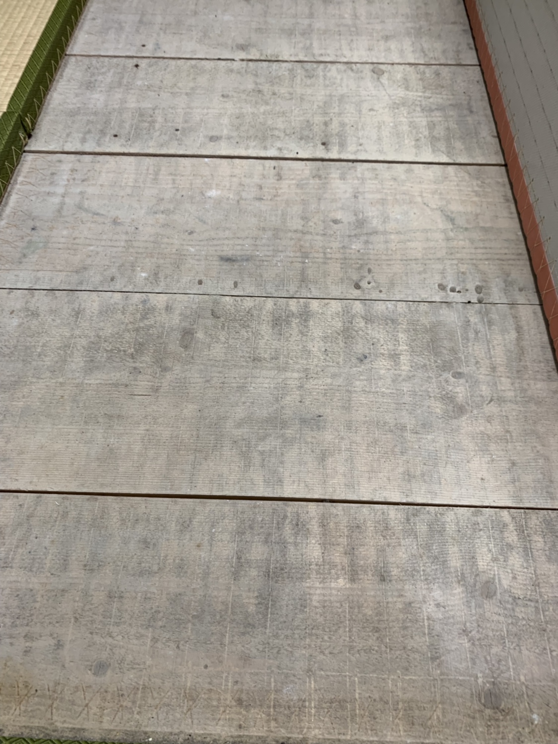 写真 2019-07-20 16 27 16