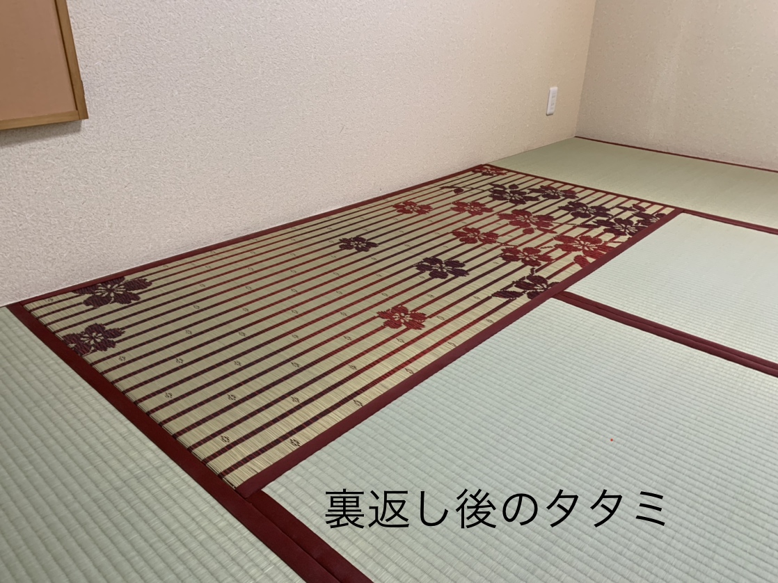 写真 2021-04-20 14 35 35