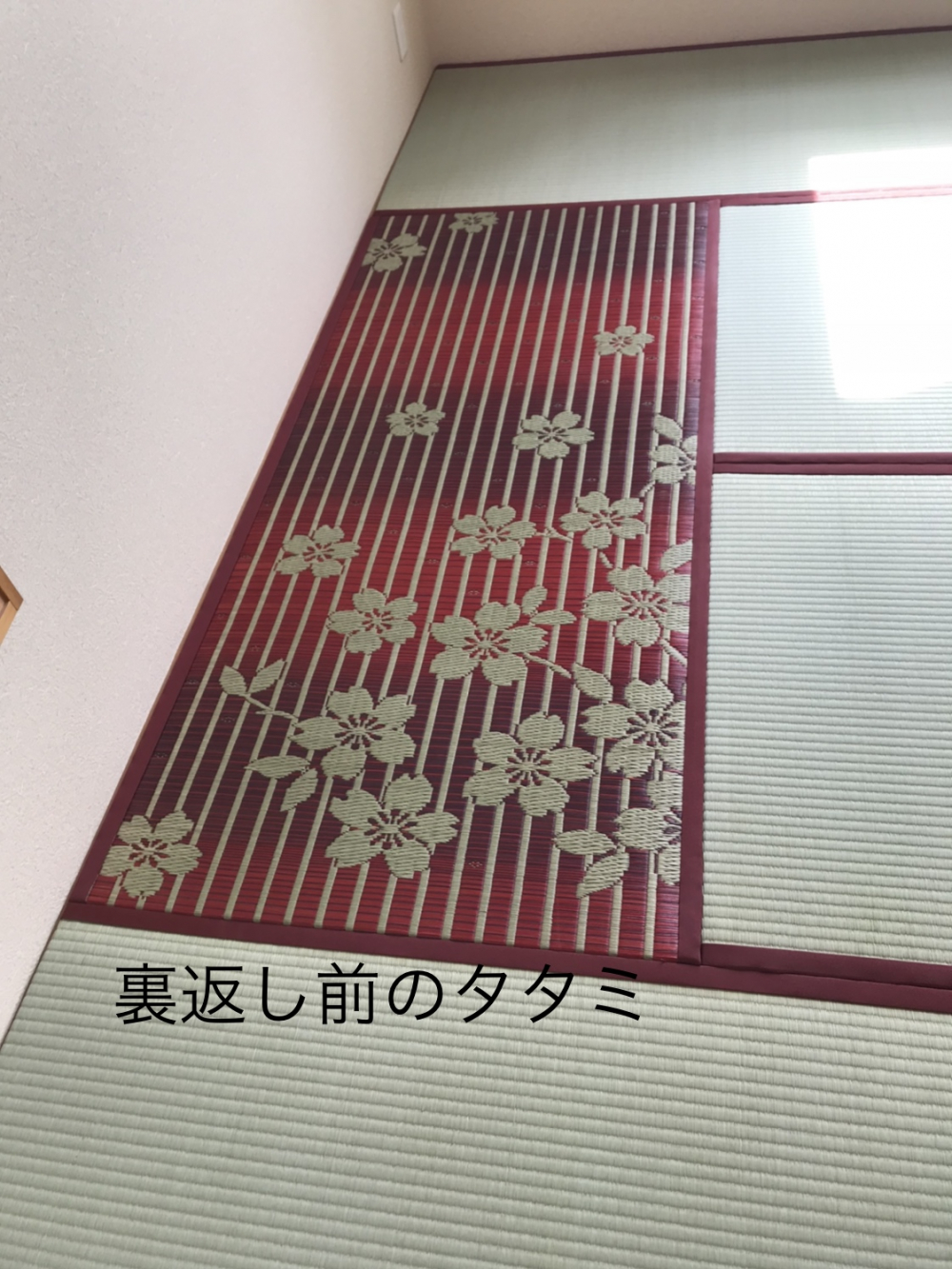 写真 2021-04-20 14 35 17